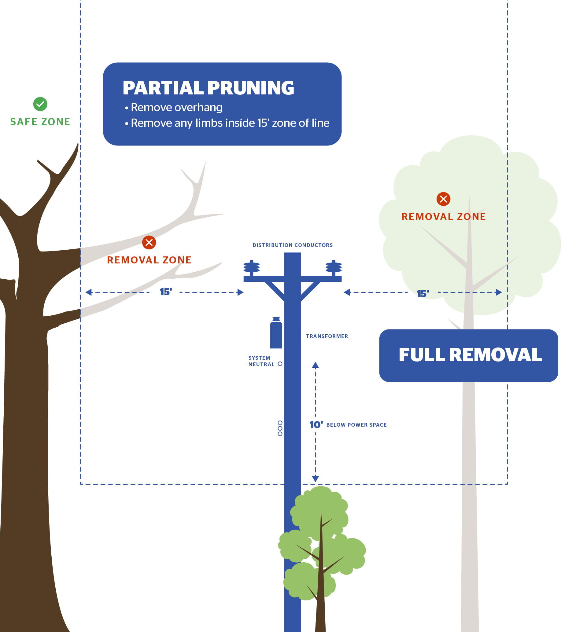 50678 NES 26 Tree Trimming Graphic.jpg