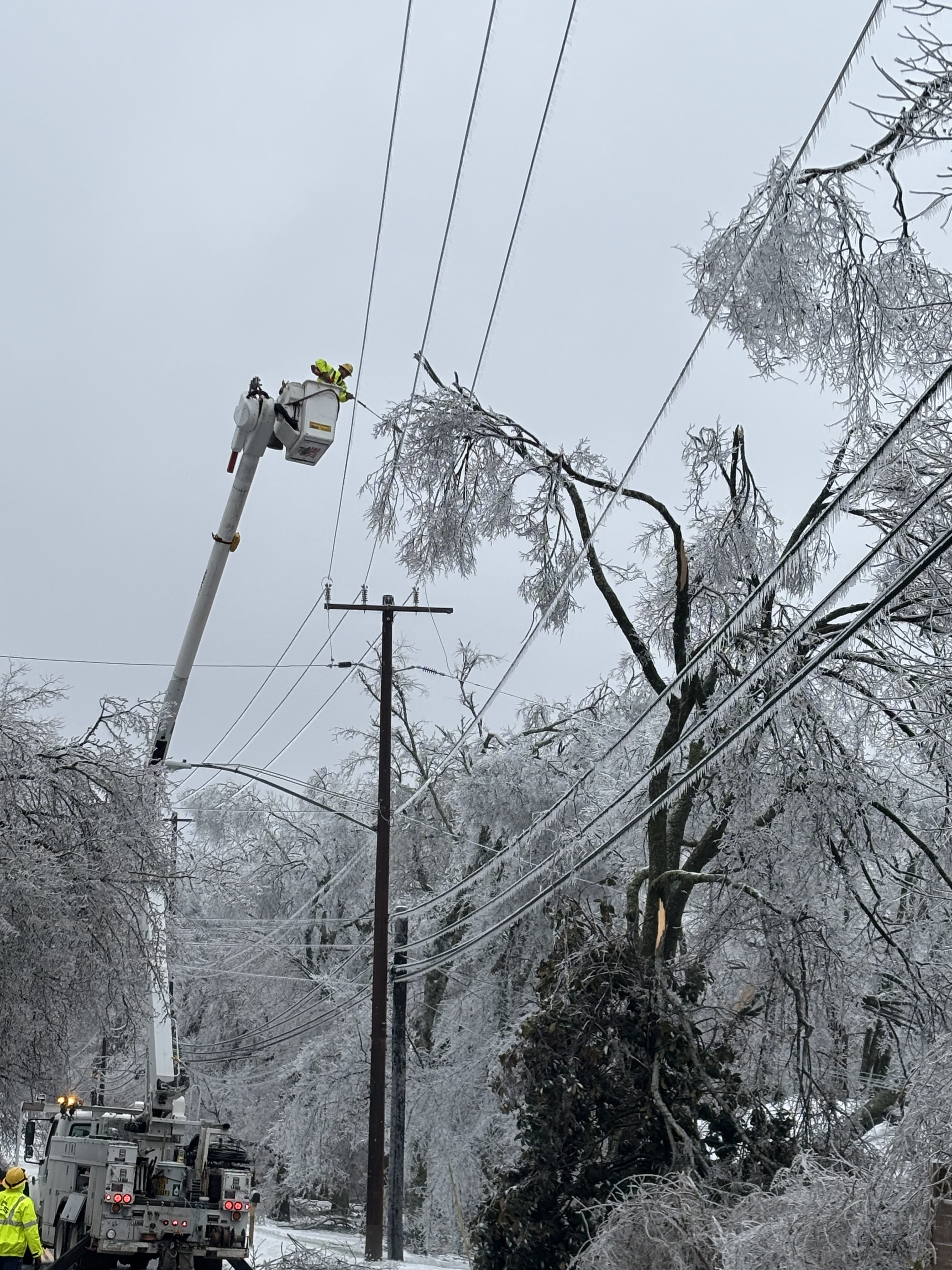 lineworkers remove a branch from the electrical line during an ice storm
